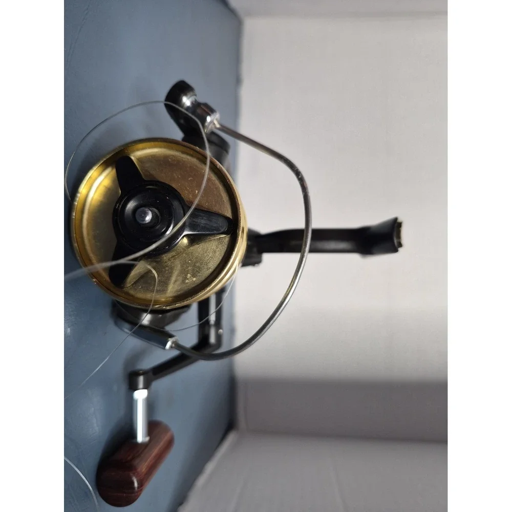 Daiwa bg15 fishing
